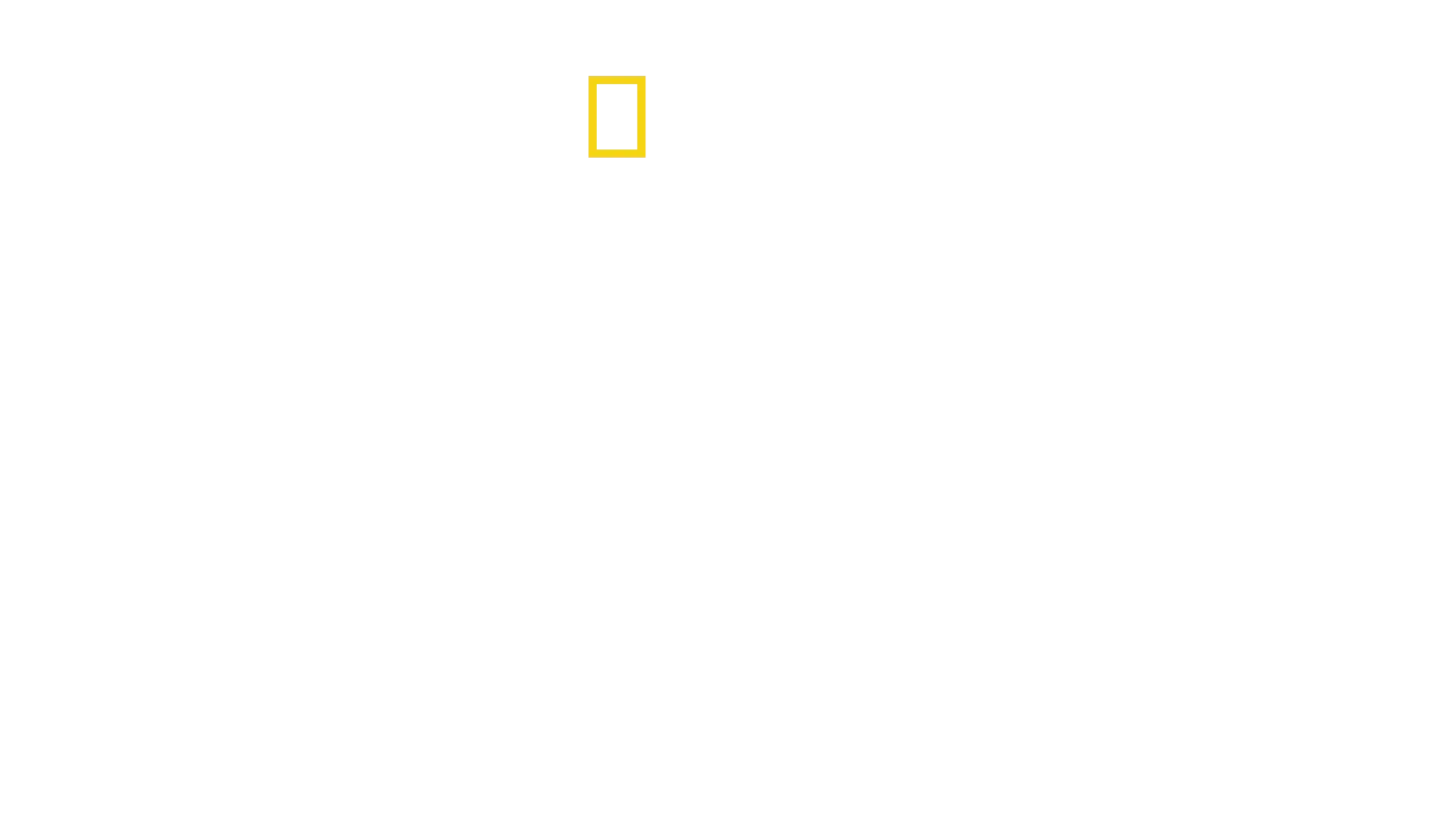Seconde Guerre mondiale : Héros de la survie