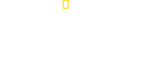 Seconde Guerre mondiale : Héros de la survie