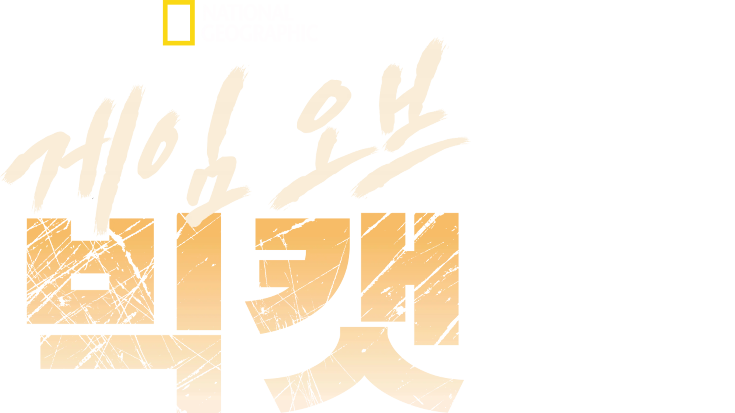 게임 오브 빅캣