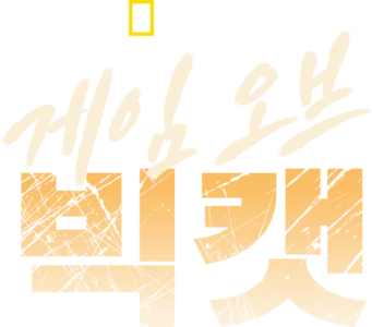 게임 오브 빅캣
