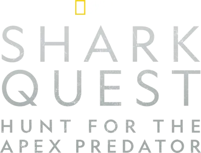 Shark Quest: Hunt for the Apex Predator
