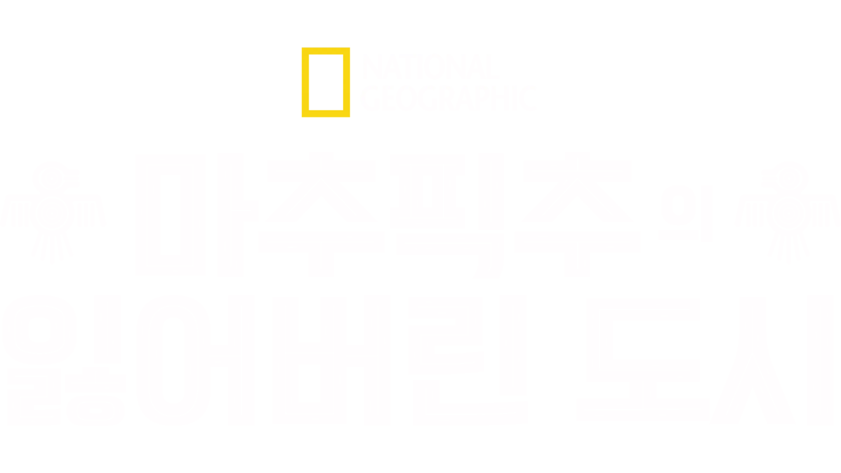 마추픽추의 잃어버린 도시
