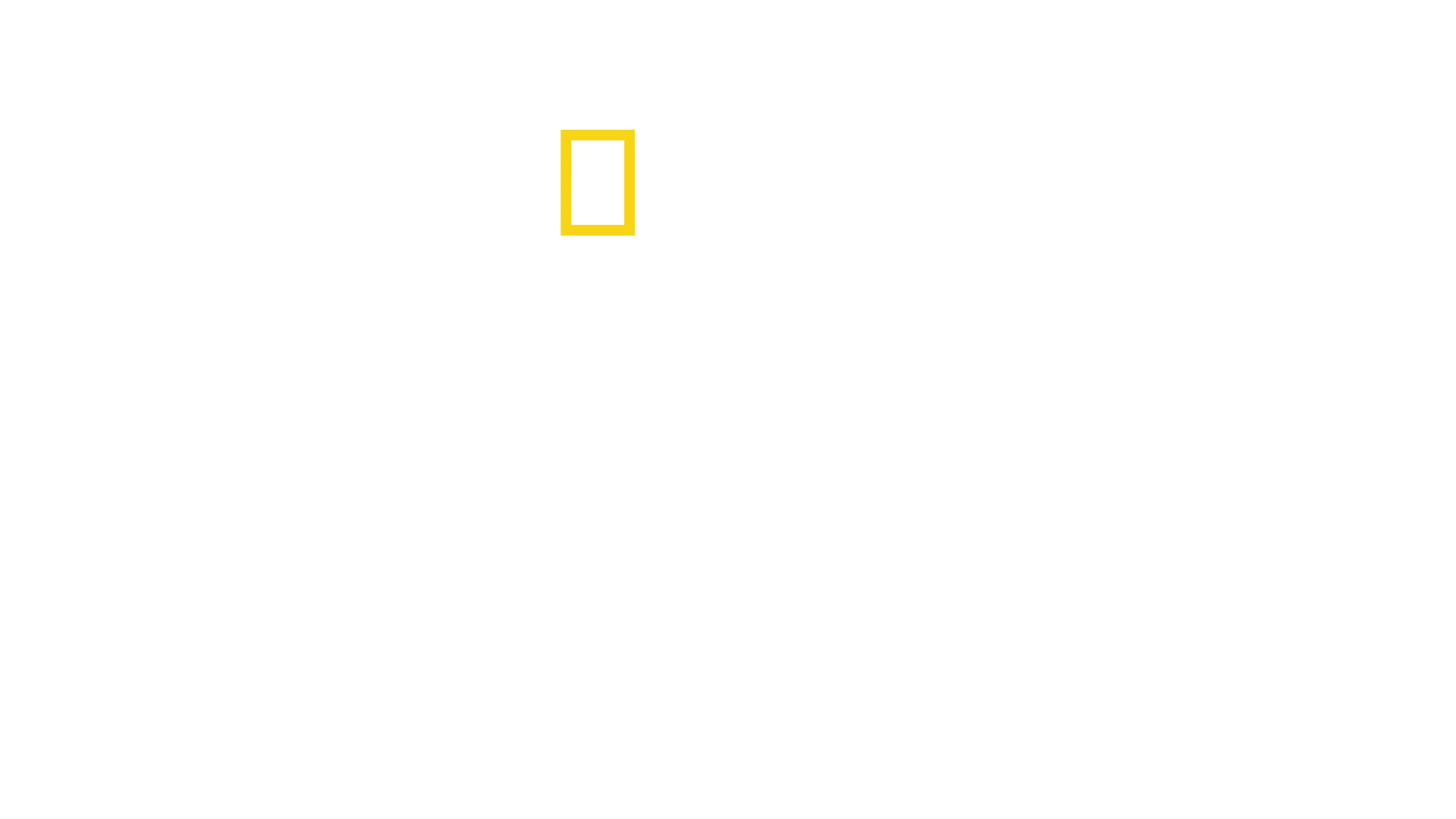 Hamburg drogkikötője