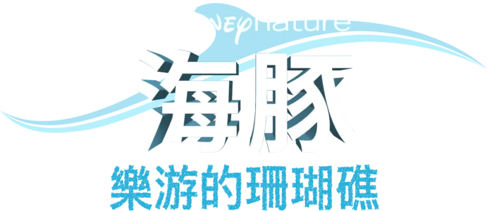 海豚樂游的珊瑚礁