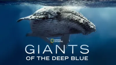 Giants of the Deep Blue