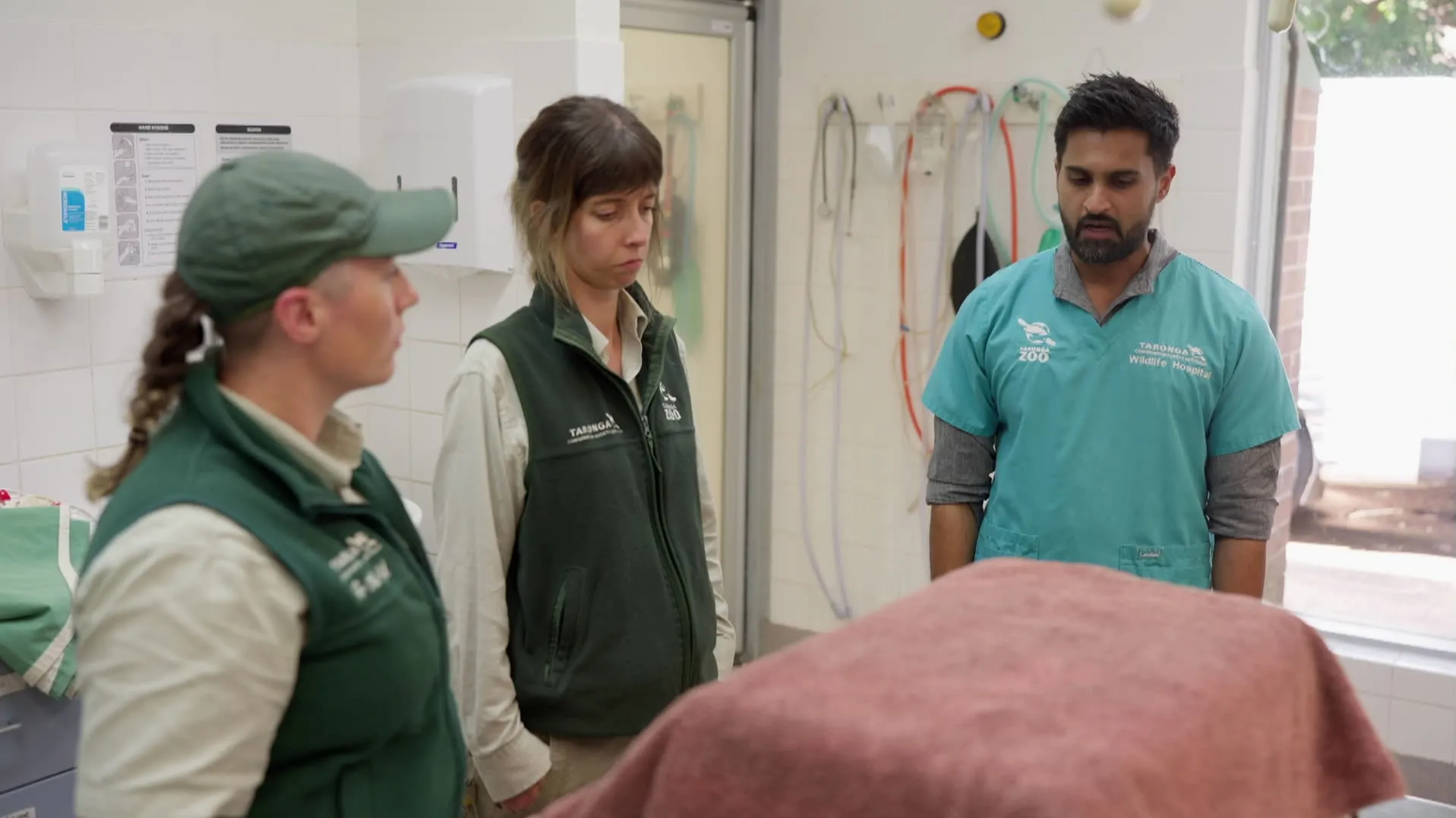 thumbnail - S5:E8 Healing Hippos