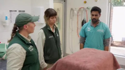 thumbnail - S5:E8 Healing Hippos