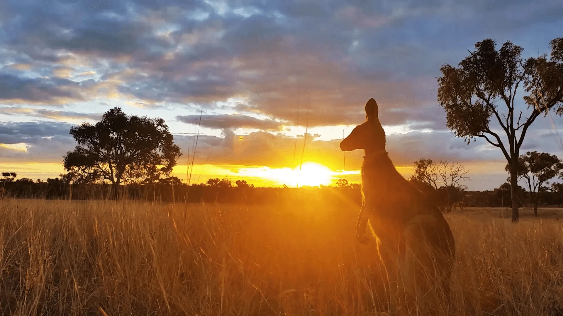 thumbnail - S1:E3 Australia