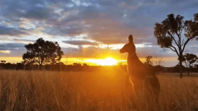 thumbnail - S1:E3 Australia