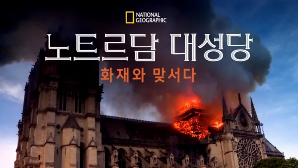 thumbnail - 노트르담 대성당: 화재와 맞서다