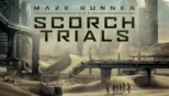 thumbnail - Maze Runner: The Scorch Trials