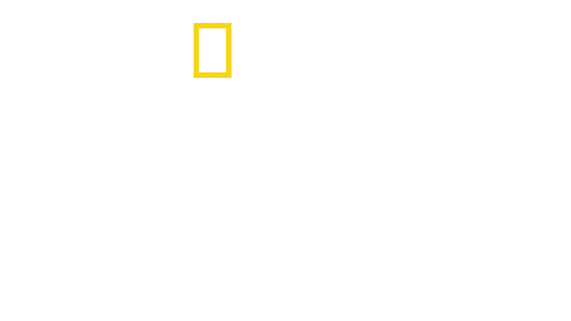 Expedição: Amelia