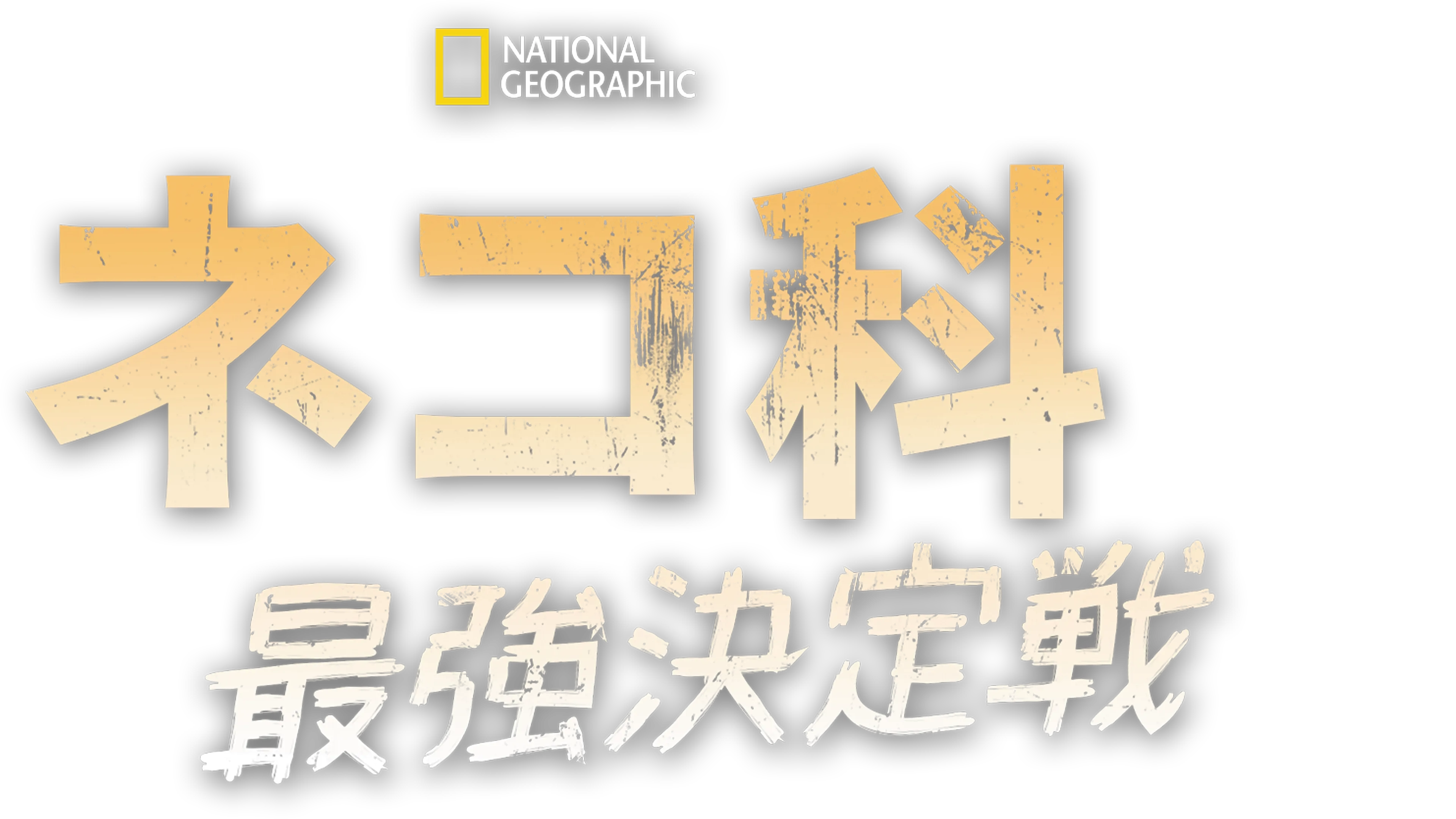 ネコ科最強決定戦