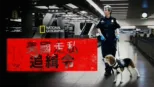 thumbnail - 美國走私追緝令