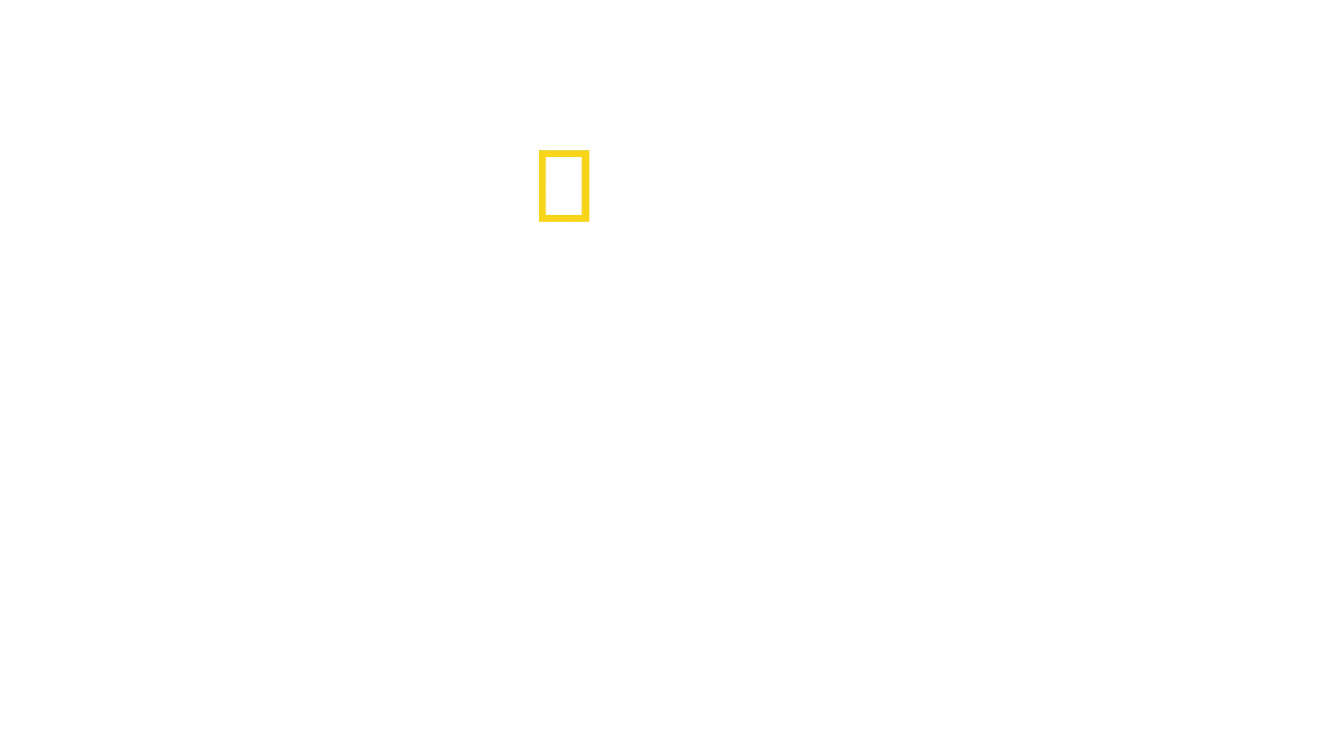 Drugs Inc.: Ur langarnas perspektiv