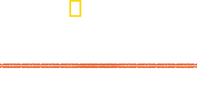 Hitler'in Doğu İstilası