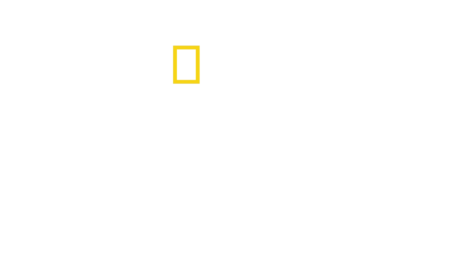 Sabores Caseiros, Sabores Sem Igual com Antoni Porowski