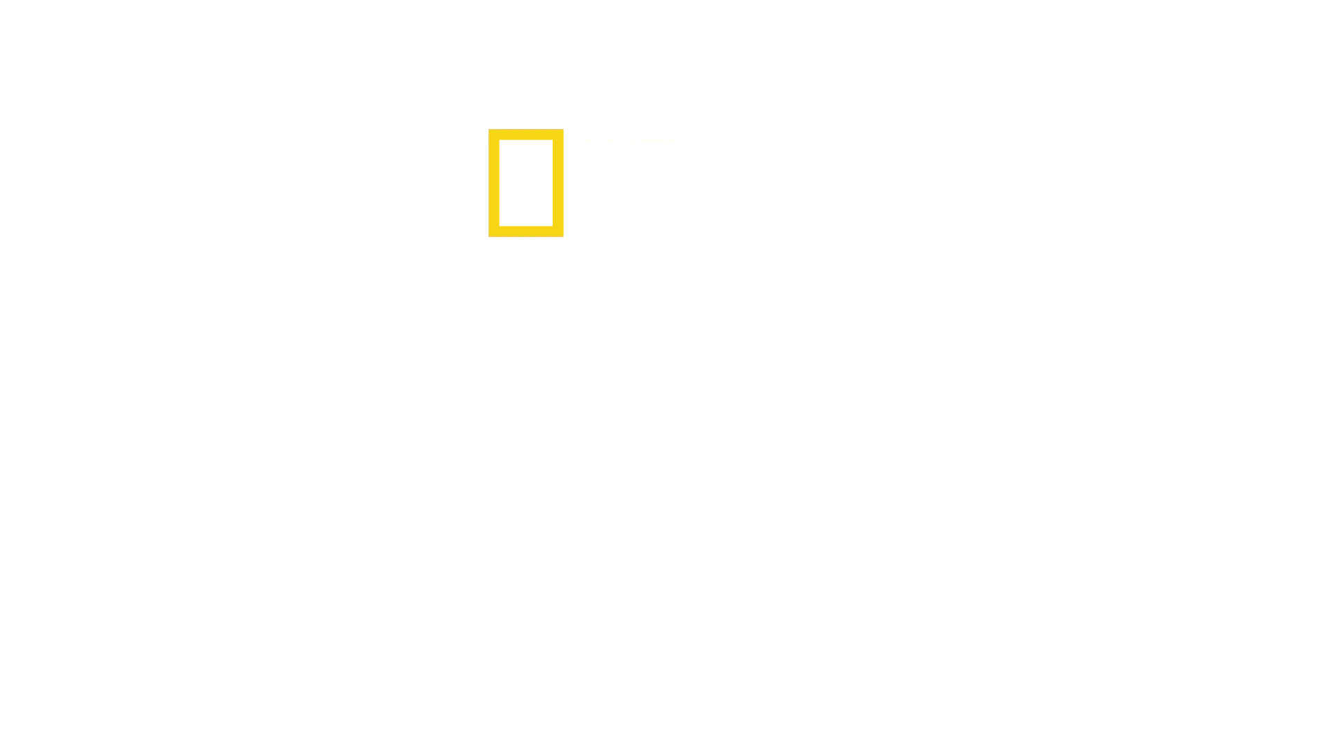 Sabores Caseiros, Sabores Sem Igual com Antoni Porowski