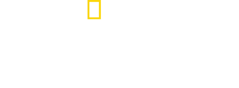 Sabores Caseiros, Sabores Sem Igual com Antoni Porowski