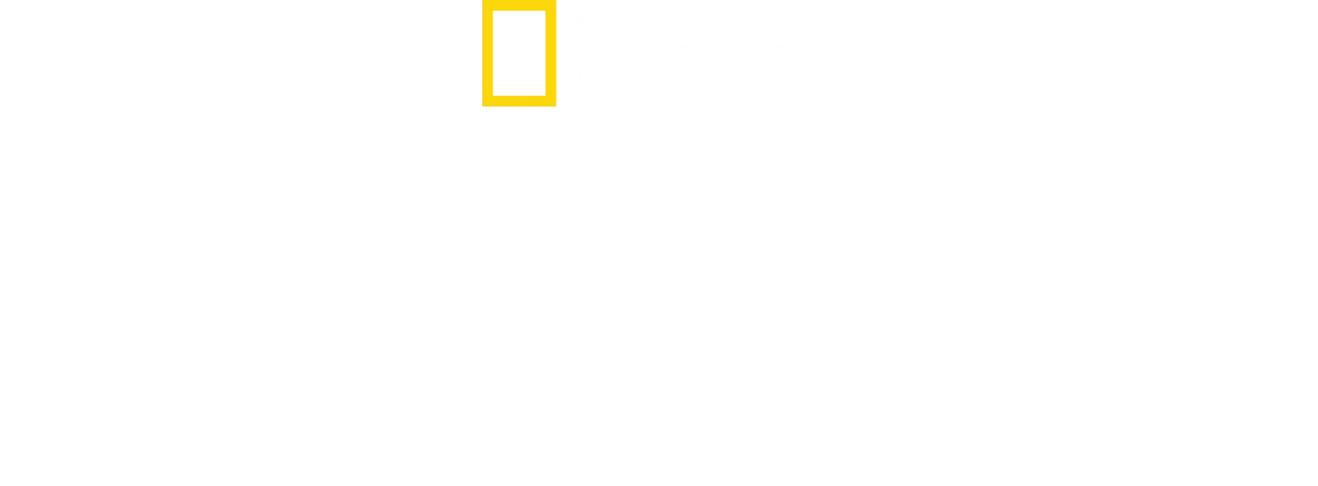 Sabores Caseiros, Sabores Sem Igual com Antoni Porowski