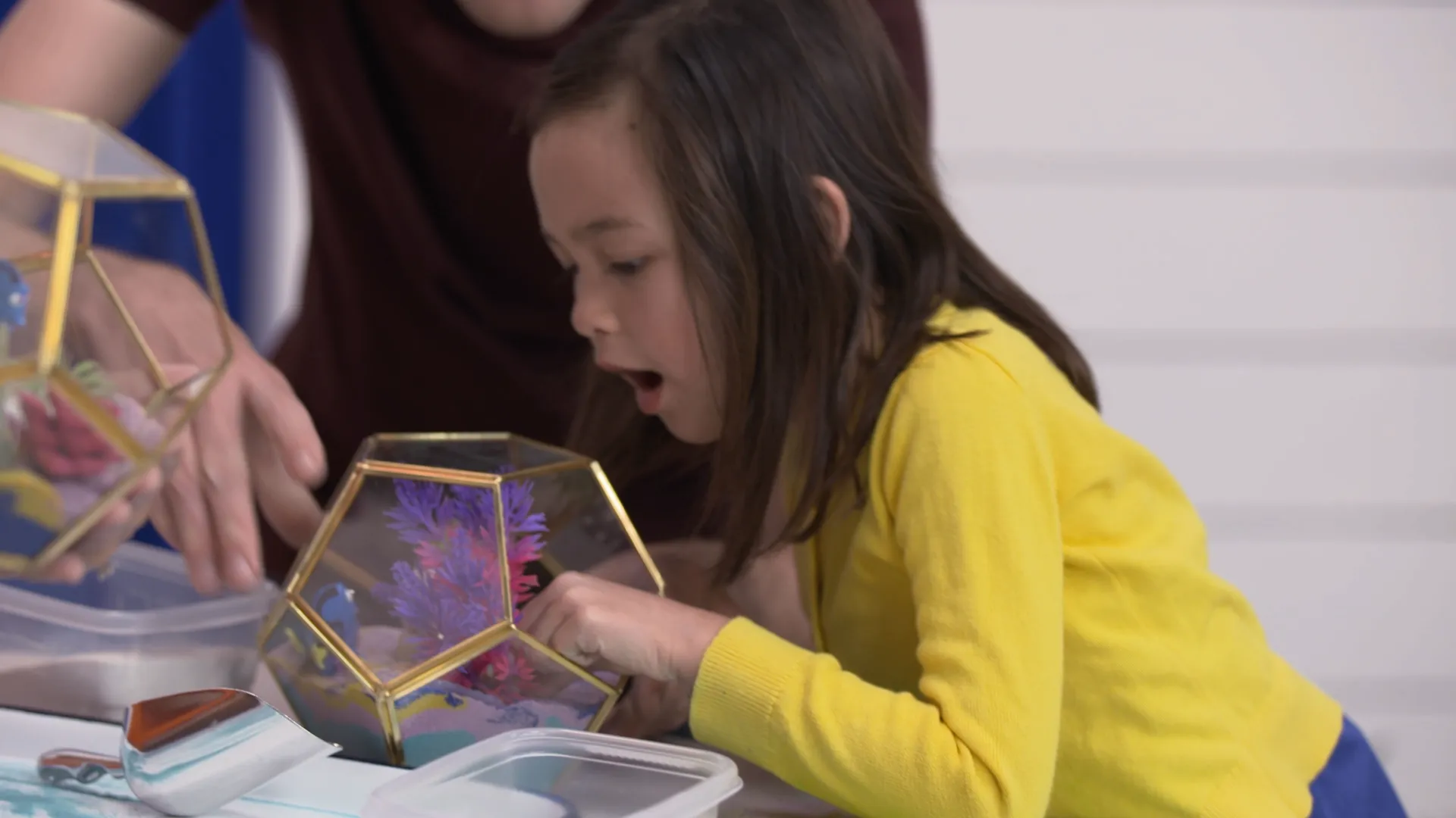 thumbnail - S1:E24 Finding Nemo: Terrarium