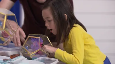 thumbnail - S1:E24 Finding Nemo: Terrarium