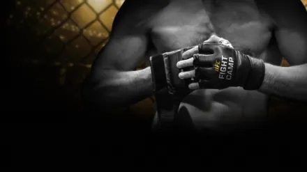 UFC Fight Camp