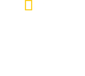 와일드 라이프