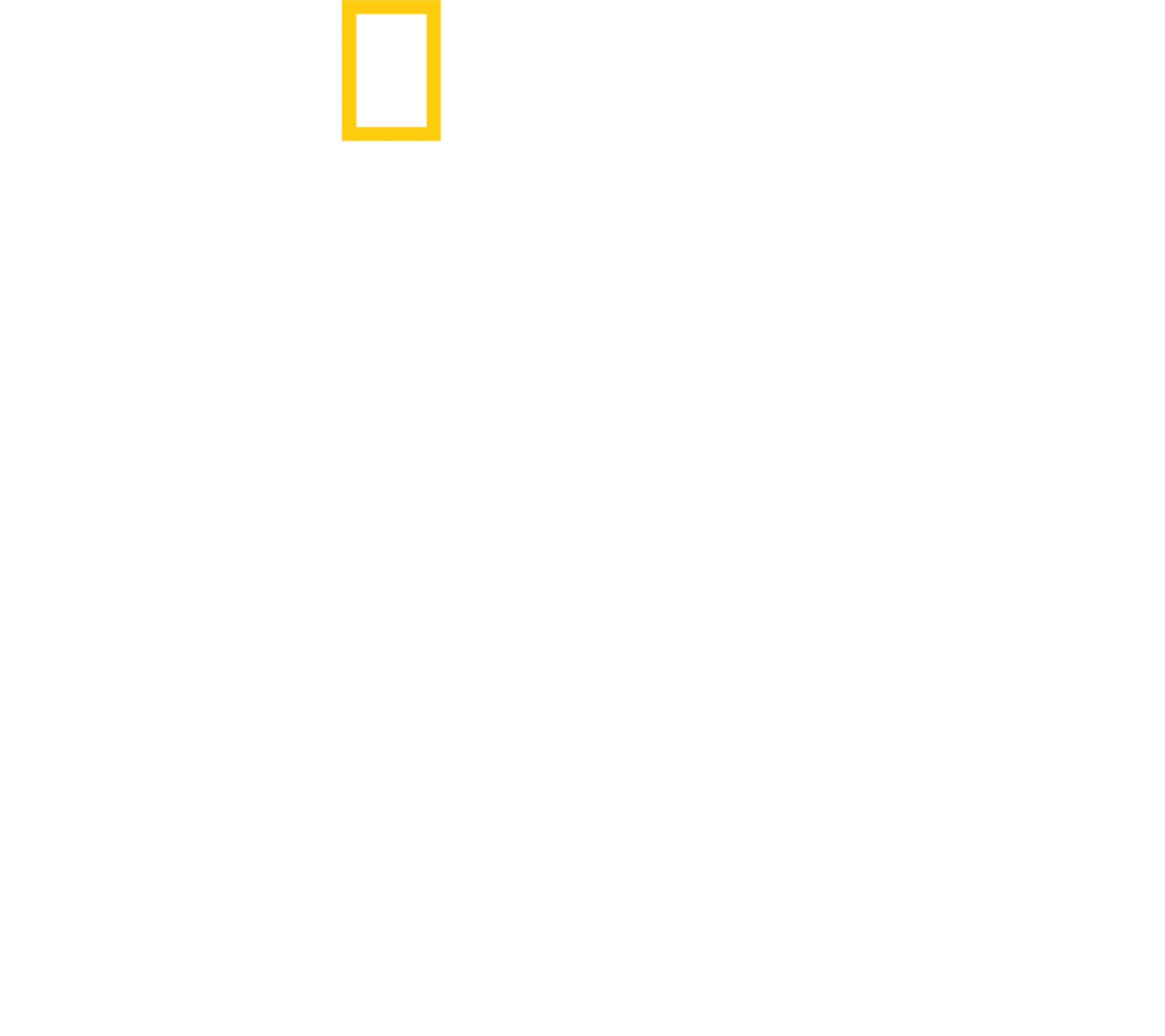 와일드 라이프