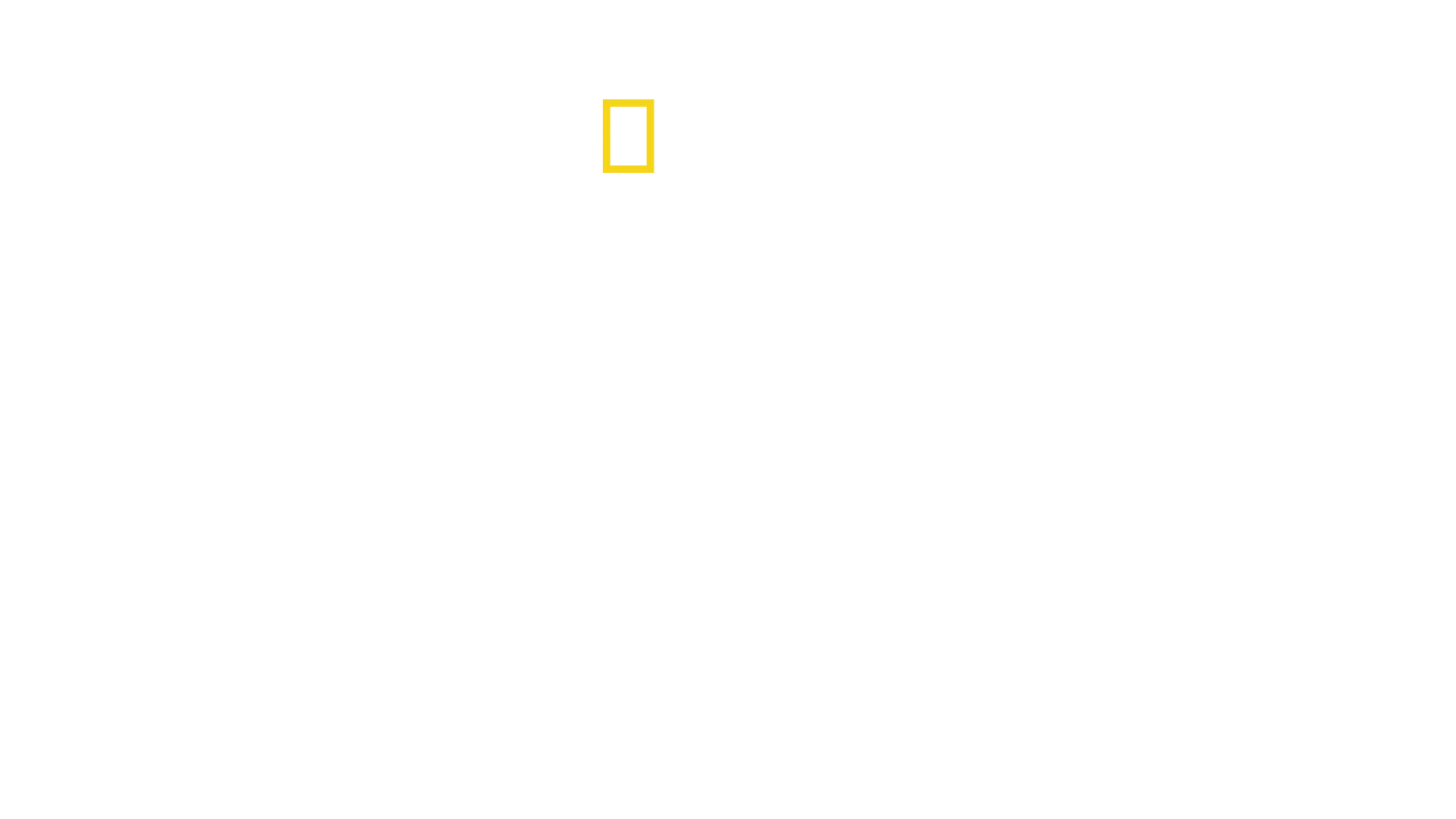 Pequeño gigante