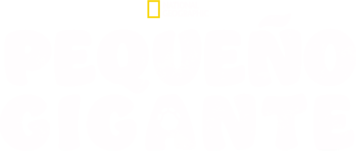 Pequeño gigante