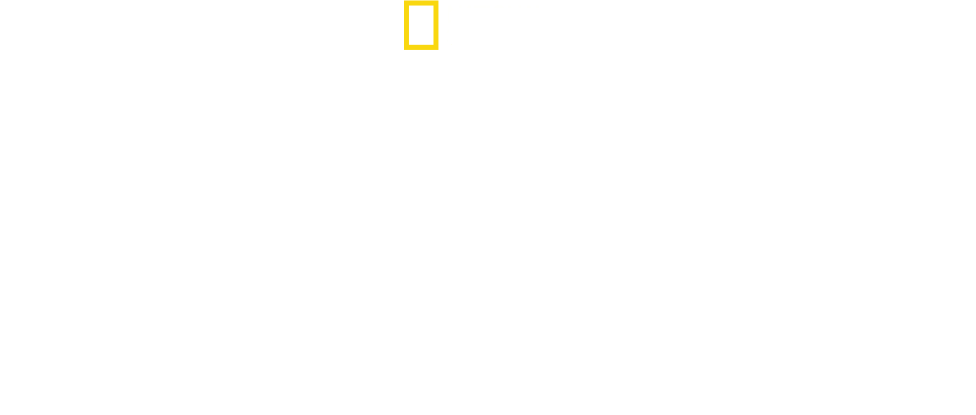 Pequeño gigante