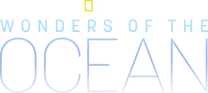 Wonders of the Ocean