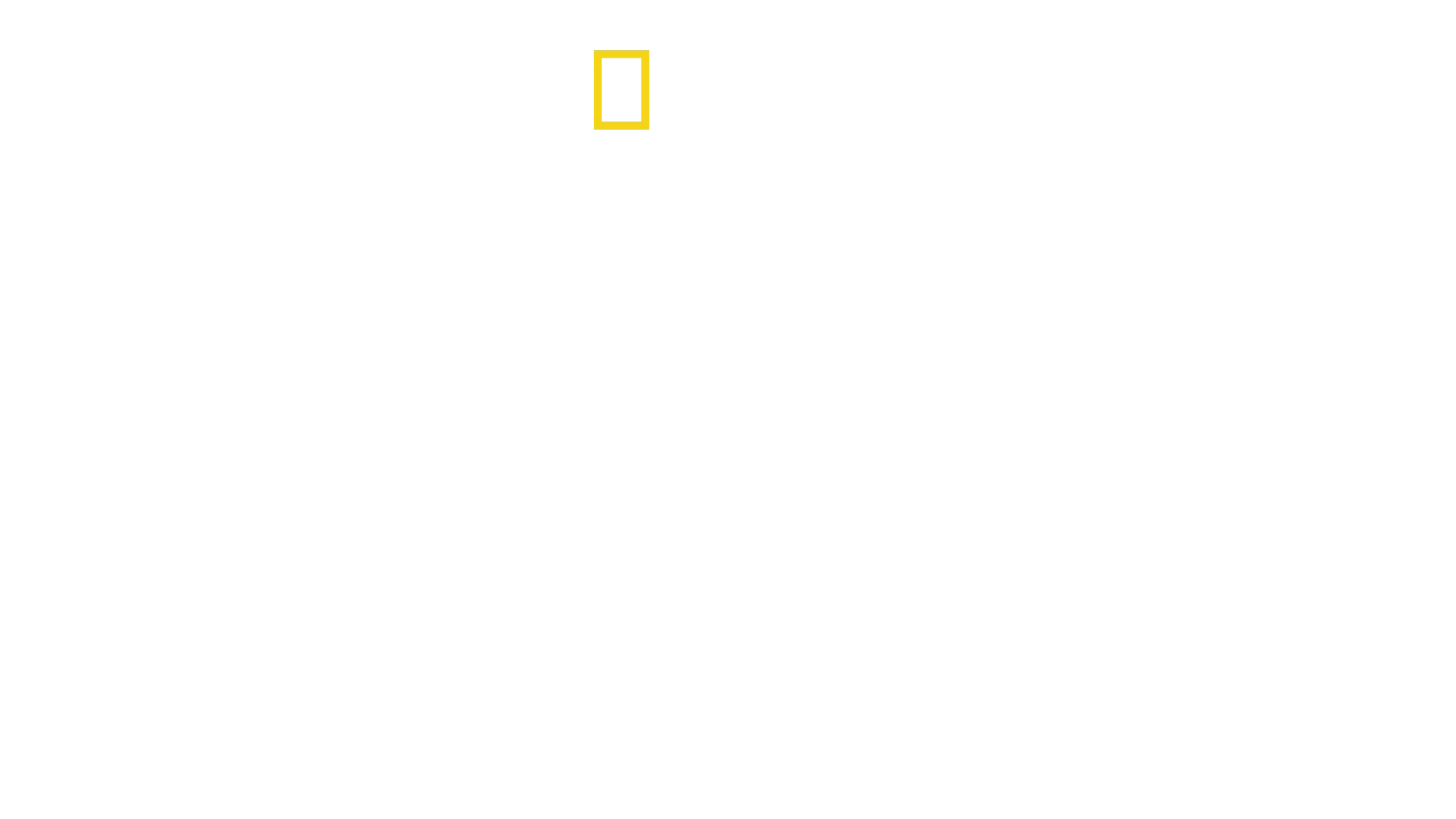 Facing...