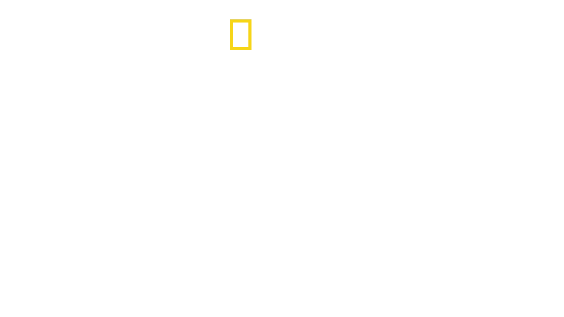 Facing...
