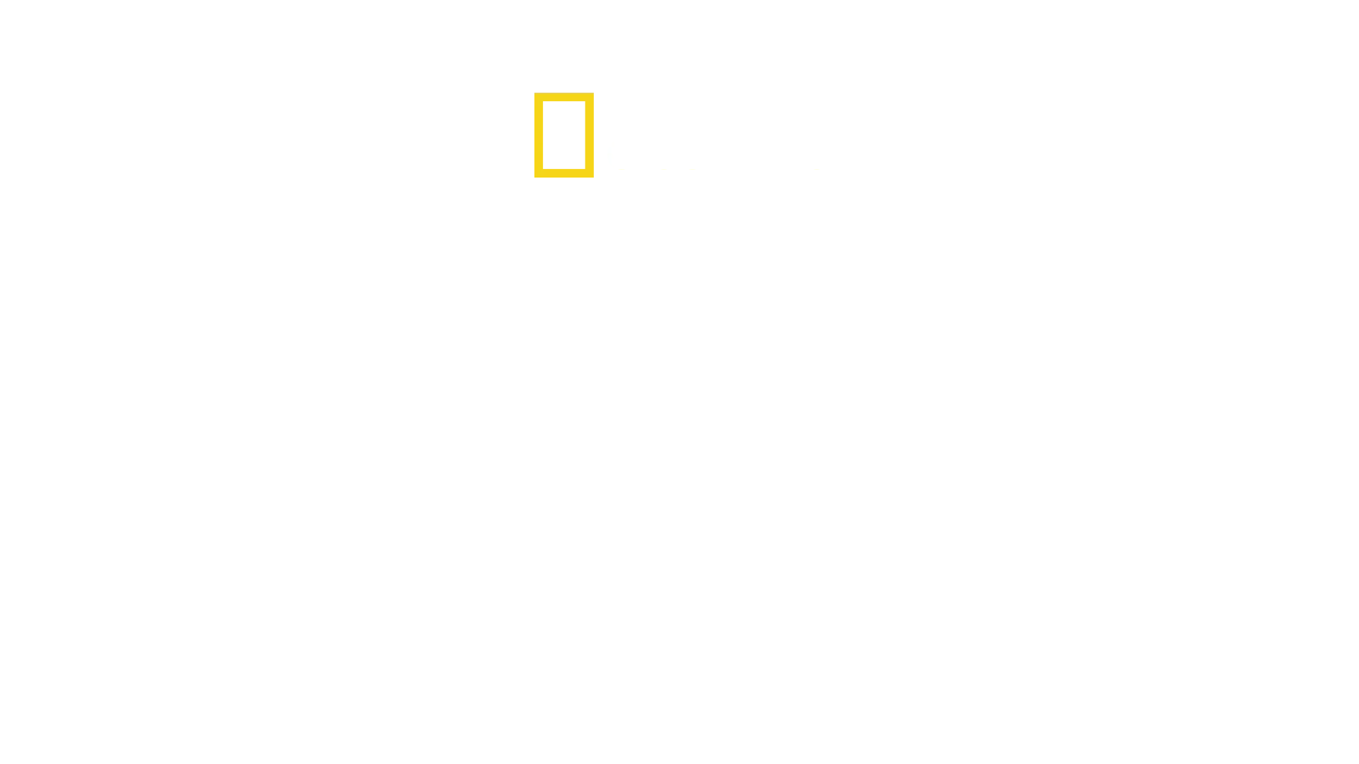 Nordkorea: Kim-dynastin