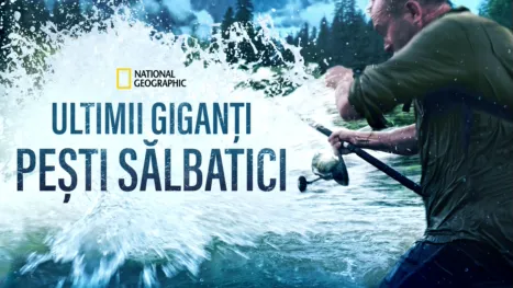 thumbnail - Ultimii giganți: Pești sălbatici