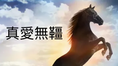 thumbnail - 真愛無韁