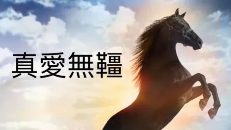 thumbnail - 真愛無韁