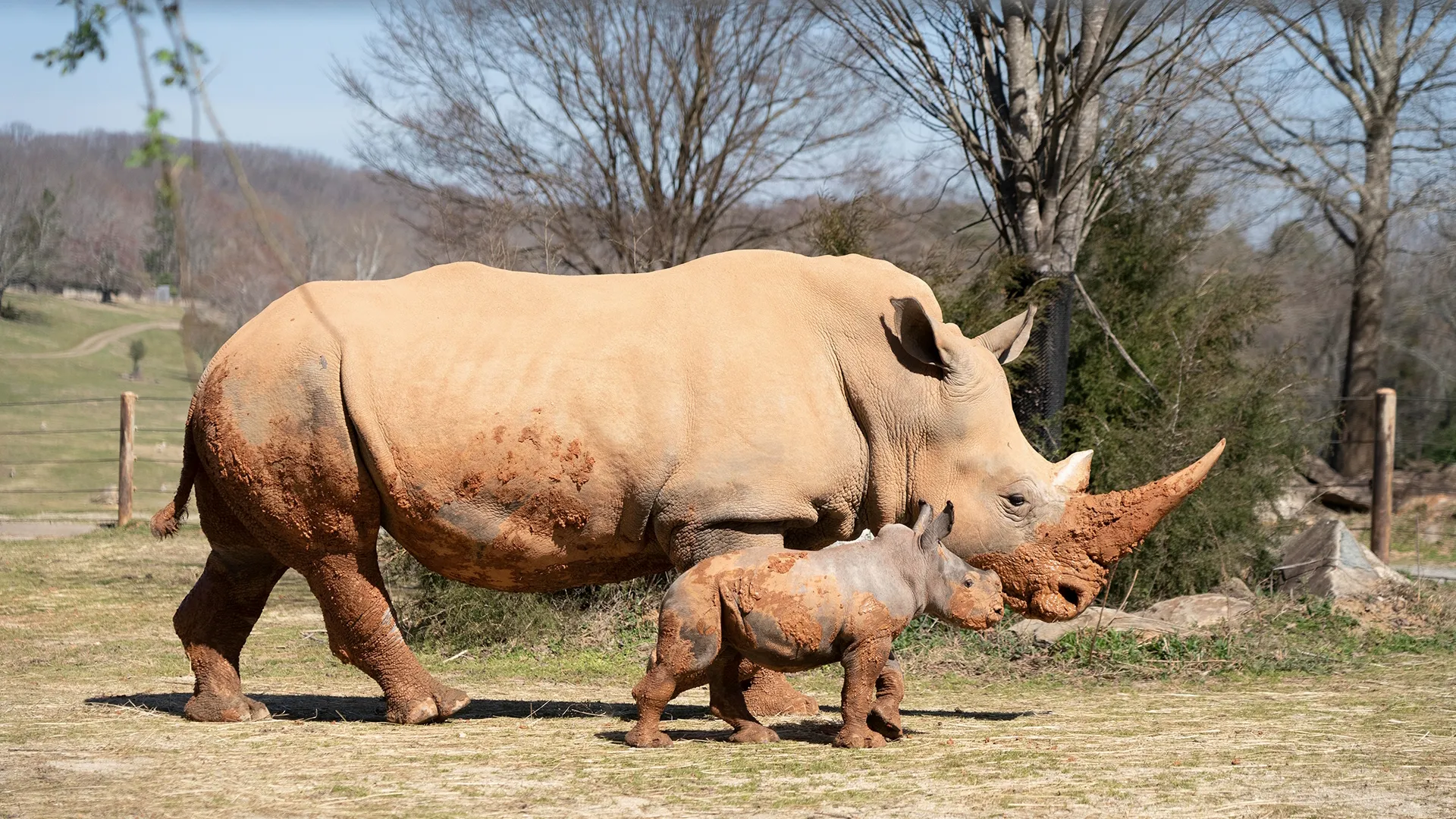 thumbnail - S1:E3 Hiss And Hers