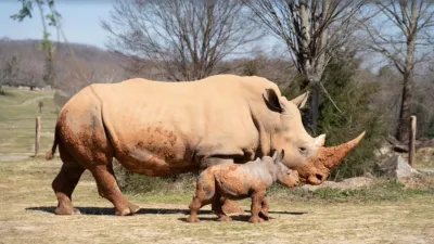 thumbnail - S1:E3 Hiss And Hers