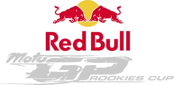 MotoGP Rookies Cup  - Sachsenring (Carrera 1)