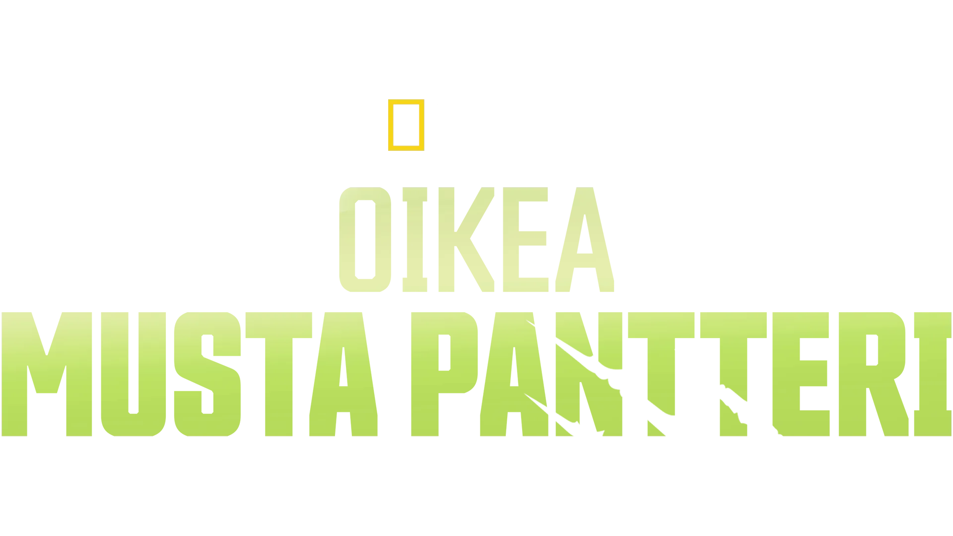 Oikea musta pantteri