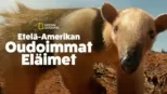 thumbnail - Etelä-Amerikan oudoimmat eläimet