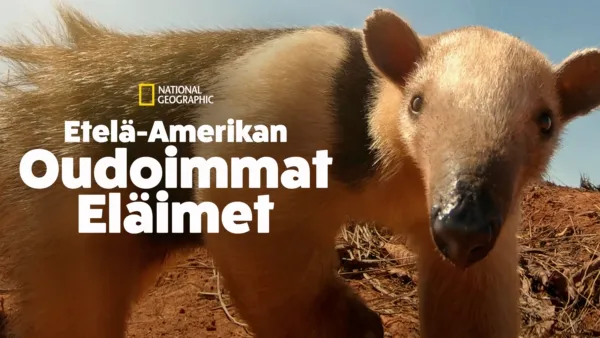 thumbnail - Etelä-Amerikan oudoimmat eläimet