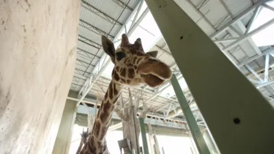 thumbnail - S1:E5 Oakley Get Your Blow Gun