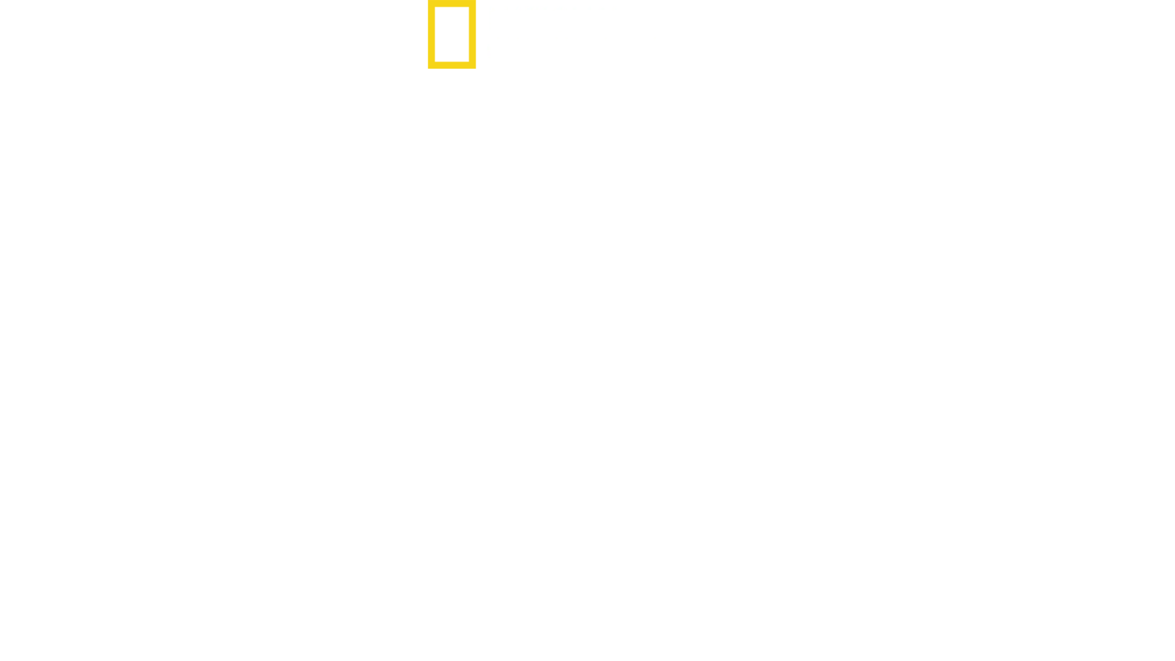 無敵の翼：アメリカ第８航空軍