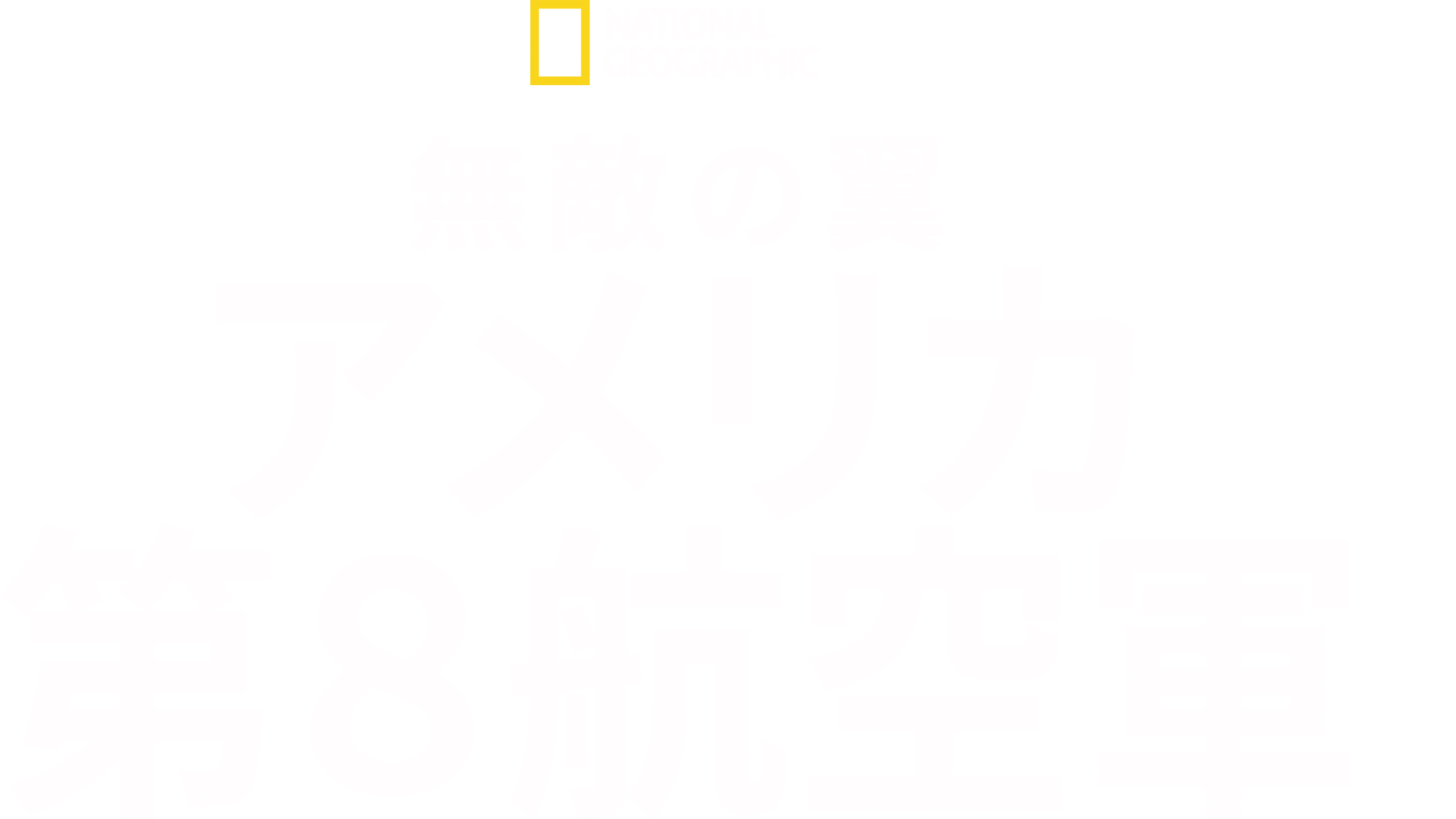 無敵の翼：アメリカ第８航空軍
