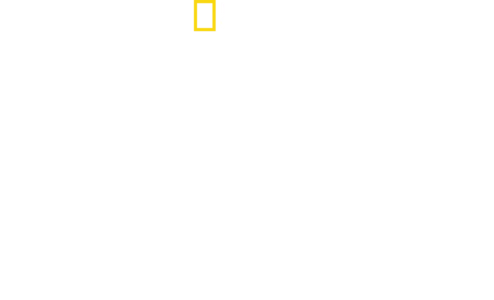 無敵の翼：アメリカ第８航空軍