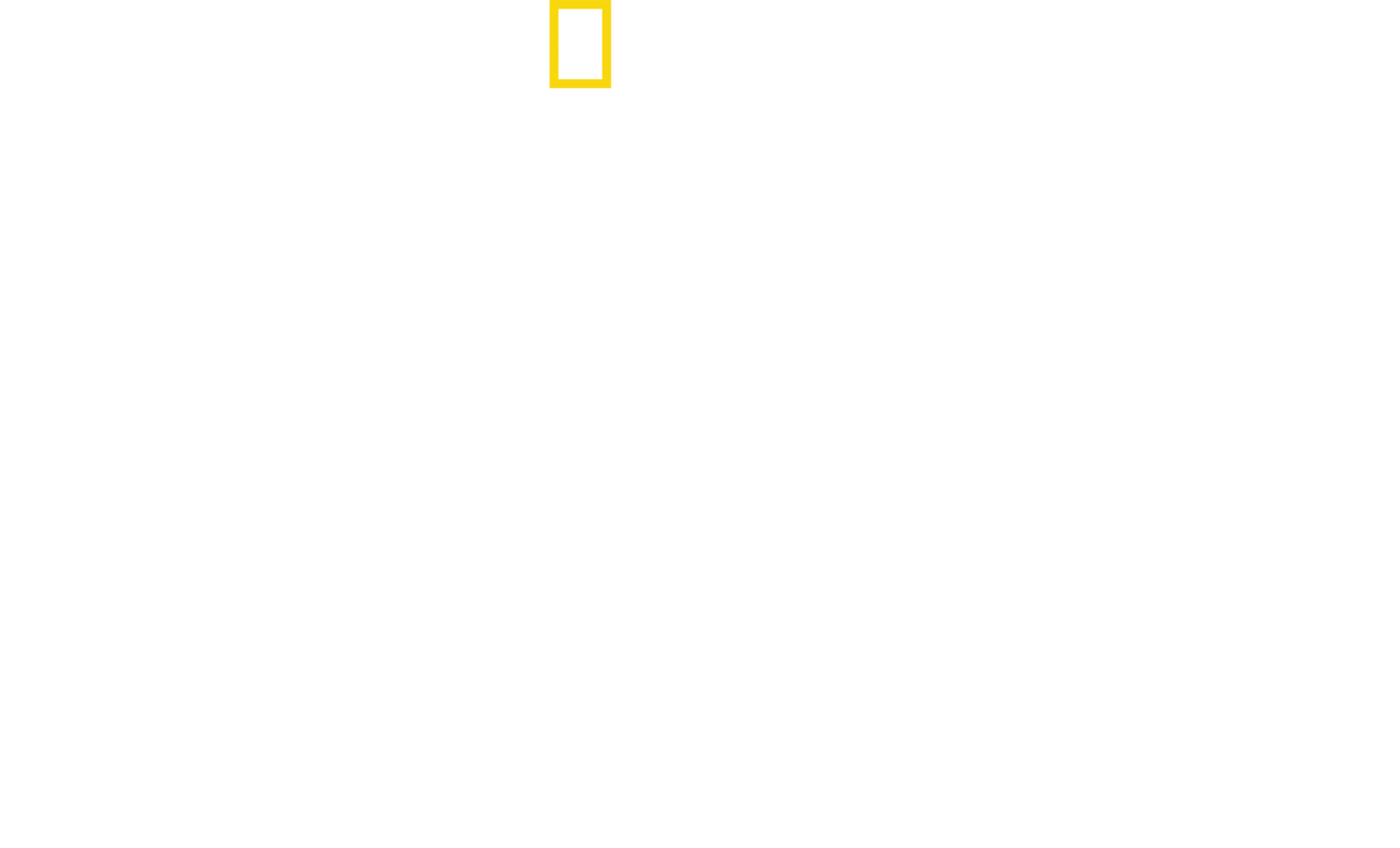 無敵の翼：アメリカ第８航空軍